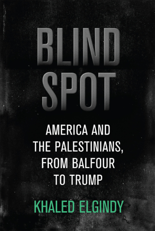 Cover image: Blind Spot 9780815731559