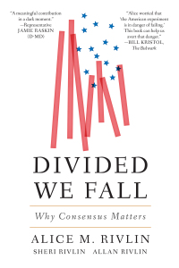 Cover image: Divided We Fall 9780815735250