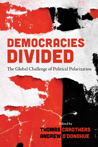 Imagen de portada: Democracies Divided 9780815737216