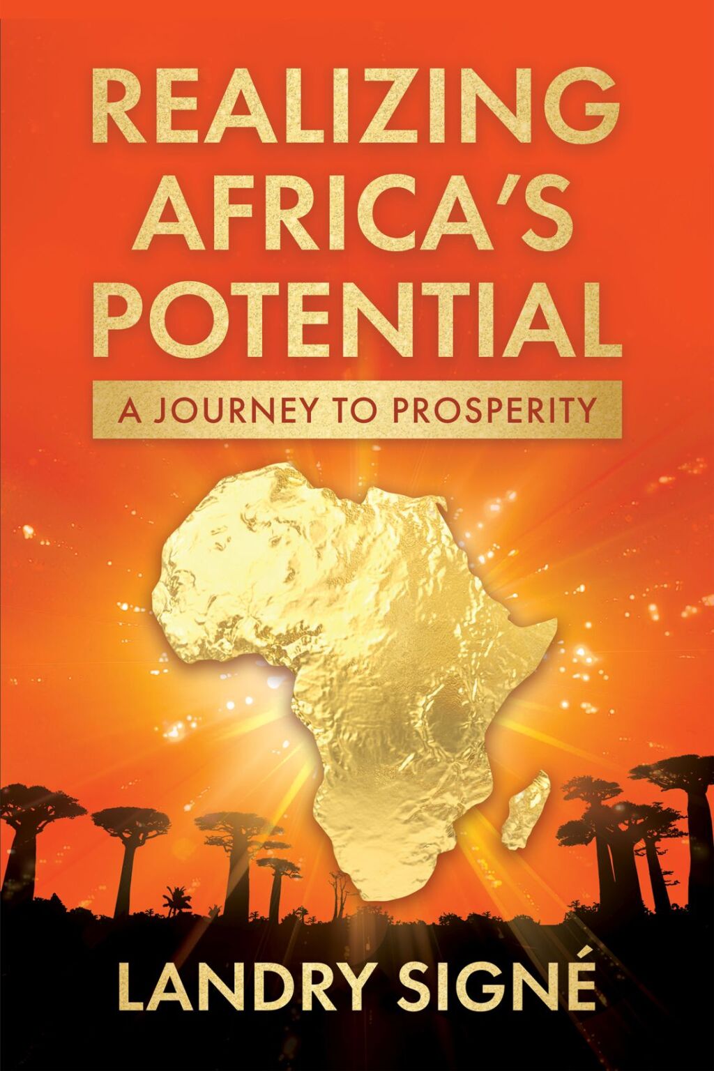 Realizing Africa’s Potential A Journey to Prosperity