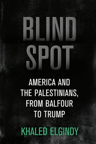 Cover image: Blind Spot 1st edition 9780815731559
