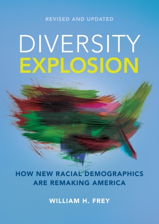 Cover image: Diversity Explosion 1st edition 9780815732846