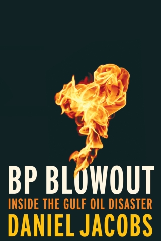 Cover image: BP Blowout 1st edition 9780815729082