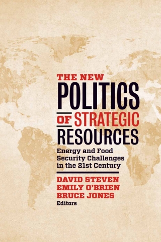 Imagen de portada: The New Politics of Strategic Resources 1st edition 9780815725336