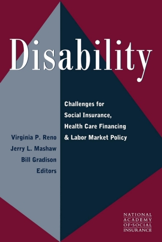 Cover image: Disability 1st edition 9780815774051