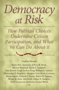 Cover image: Democracy at Risk 9780815754053