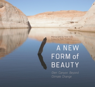 Imagen de portada: A New Form of Beauty 9780816531929