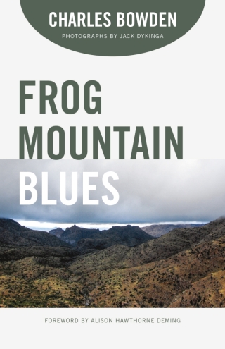 Imagen de portada: Frog Mountain Blues 9780816537921
