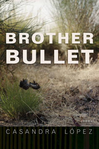 Imagen de portada: Brother Bullet 9780816538522