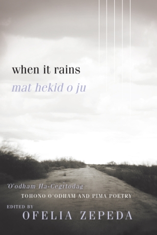 Cover image: When It Rains 9780816538874