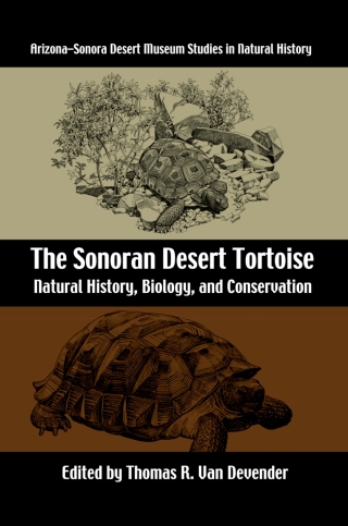 Cover image: The Sonoran Desert Tortoise 9780816521913