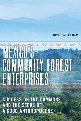 表紙画像: Mexico’s Community Forest Enterprises 9780816541126