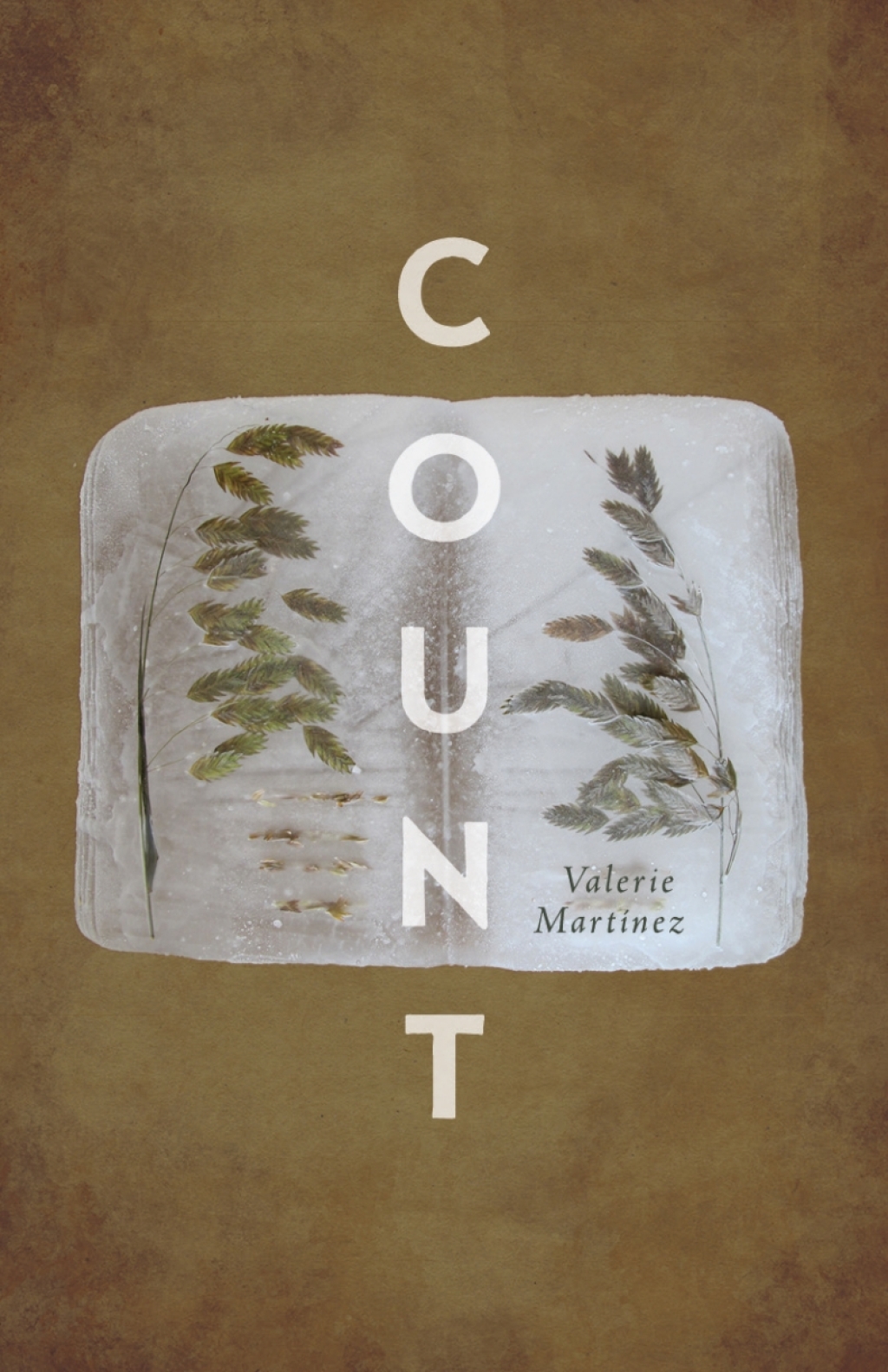 Count (eBook)