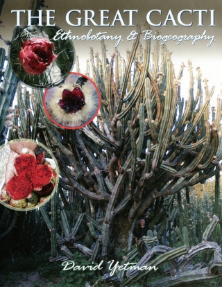 Cover image: The Great Cacti 9780816524310