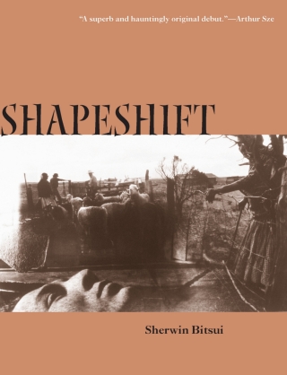 Imagen de portada: Shapeshift 9780816523429
