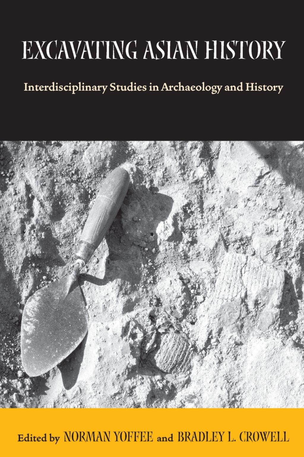Excavating Asian History eBook