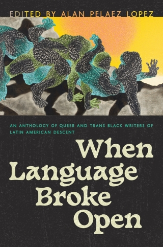 Cover image: When Language Broke Open 9780816549962