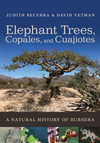 Cover image: Elephant Trees, Copales, and Cuajiotes 9780816551941