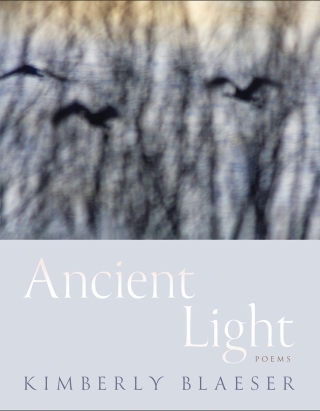 Cover image: Ancient Light 9780816552177