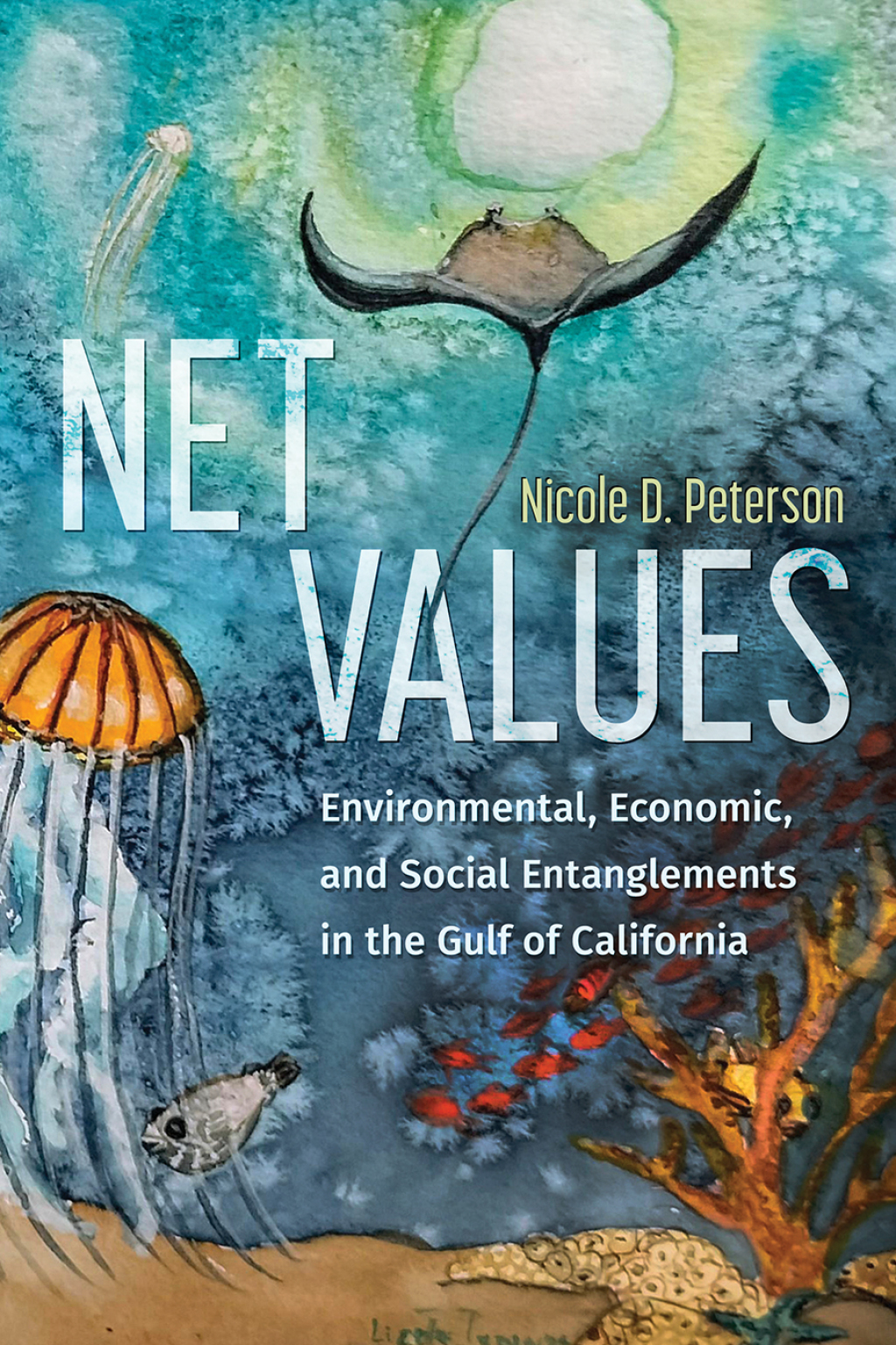 Net Values (eBook)