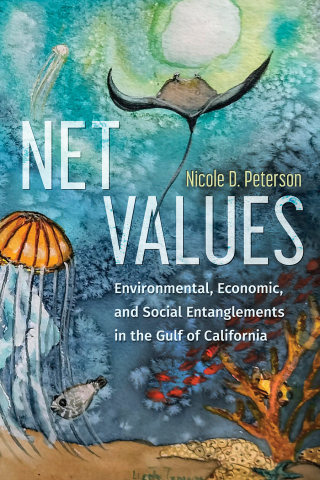 Cover image: Net Values 9780816555185