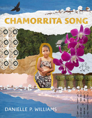 صورة الغلاف: Chamorrita Song 9780816555161