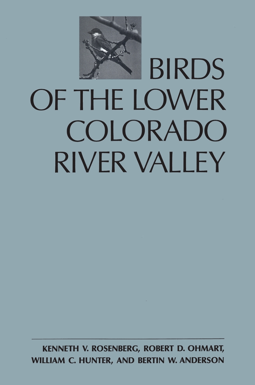 Birds of the Lower Colorado River Valley