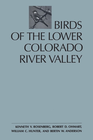 Cover image: Birds of the Lower Colorado River Valley 9780816511747