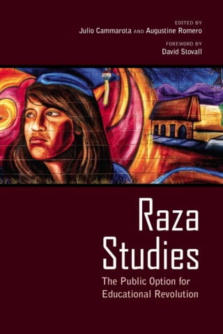 صورة الغلاف: Raza Studies 9780816530793