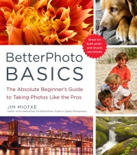 Cover image: BetterPhoto Basics 9780817405021