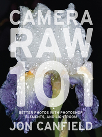 Cover image: Camera RAW 101 9780817432294
