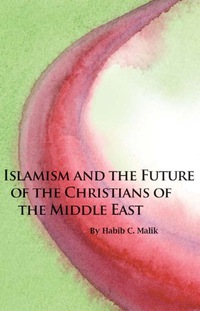 表紙画像: Islamism and the Future of the Christians of the Middle East 1st edition 9780817910952