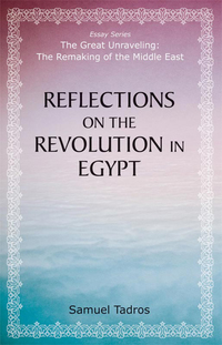 Cover image: Reflections on the Revolution in Egypt 1st edition 9780817917456