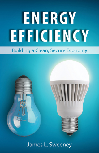 Cover image: Energy Efficiency 1st edition 9780817919542