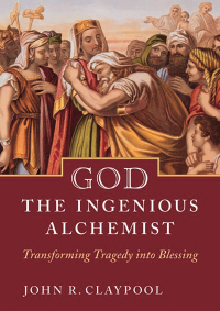Cover image: God the Ingenious Alchemist 9781640650862