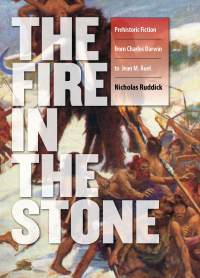 Cover image: Fire in the Stone 9780819569004