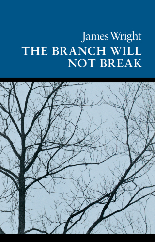Immagine di copertina: The Branch Will Not Break 9780819510181