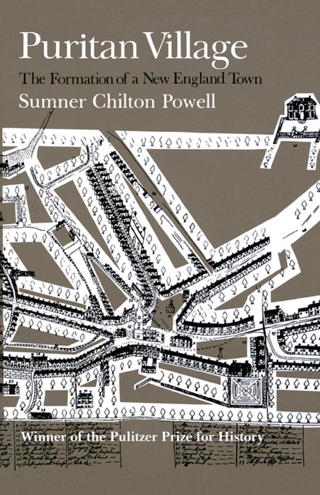 Puritan Village The Formation of a New England Town