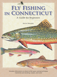 表紙画像: Fly Fishing in Connecticut 9780819572837