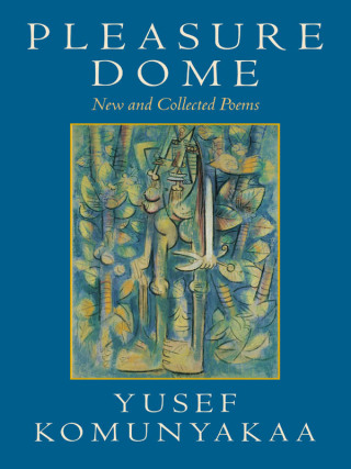Cover image: Pleasure Dome 9780819567390