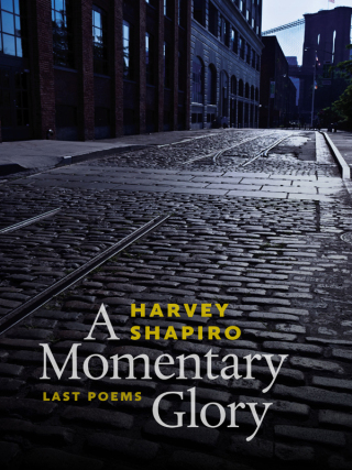 Cover image: A Momentary Glory 9780819574893