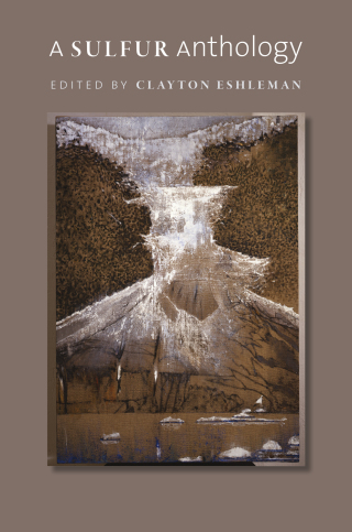 Cover image: A Sulfur Anthology 9780819575319