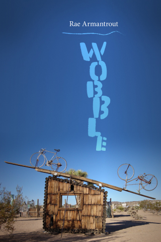 Imagen de portada: Wobble 9780819578235