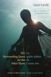 Cover image: The Neverending Quest for the Other Shore 9780819580733