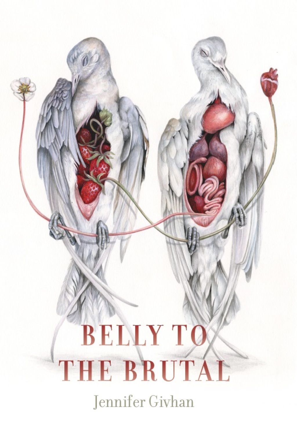 Belly to the Brutal