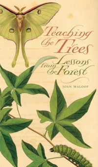 Cover image: Teaching the Trees 9780820329550