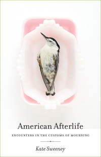 Cover image: American Afterlife 9780820346007