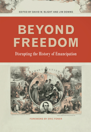 Cover image: Beyond Freedom 9780820351483