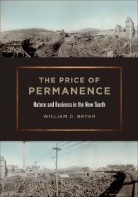 Cover image: The Price of Permanence 9780820353395
