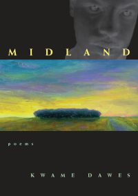 Cover image: Midland 1st edition 9780821413555